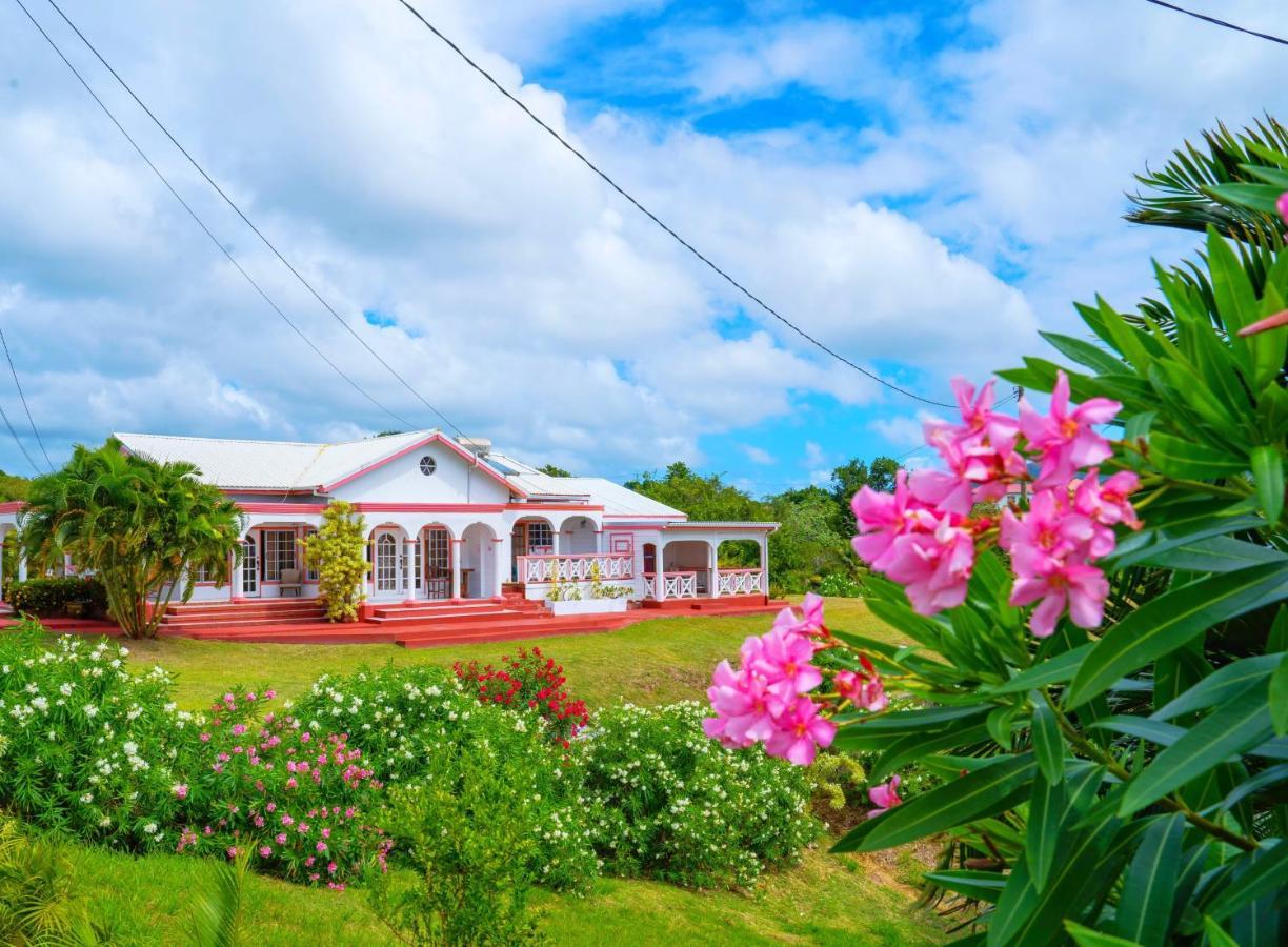 Sunny Palm Villas Laborie Esterno foto